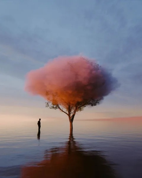 Baum mit Wolkenkrone im Wasser