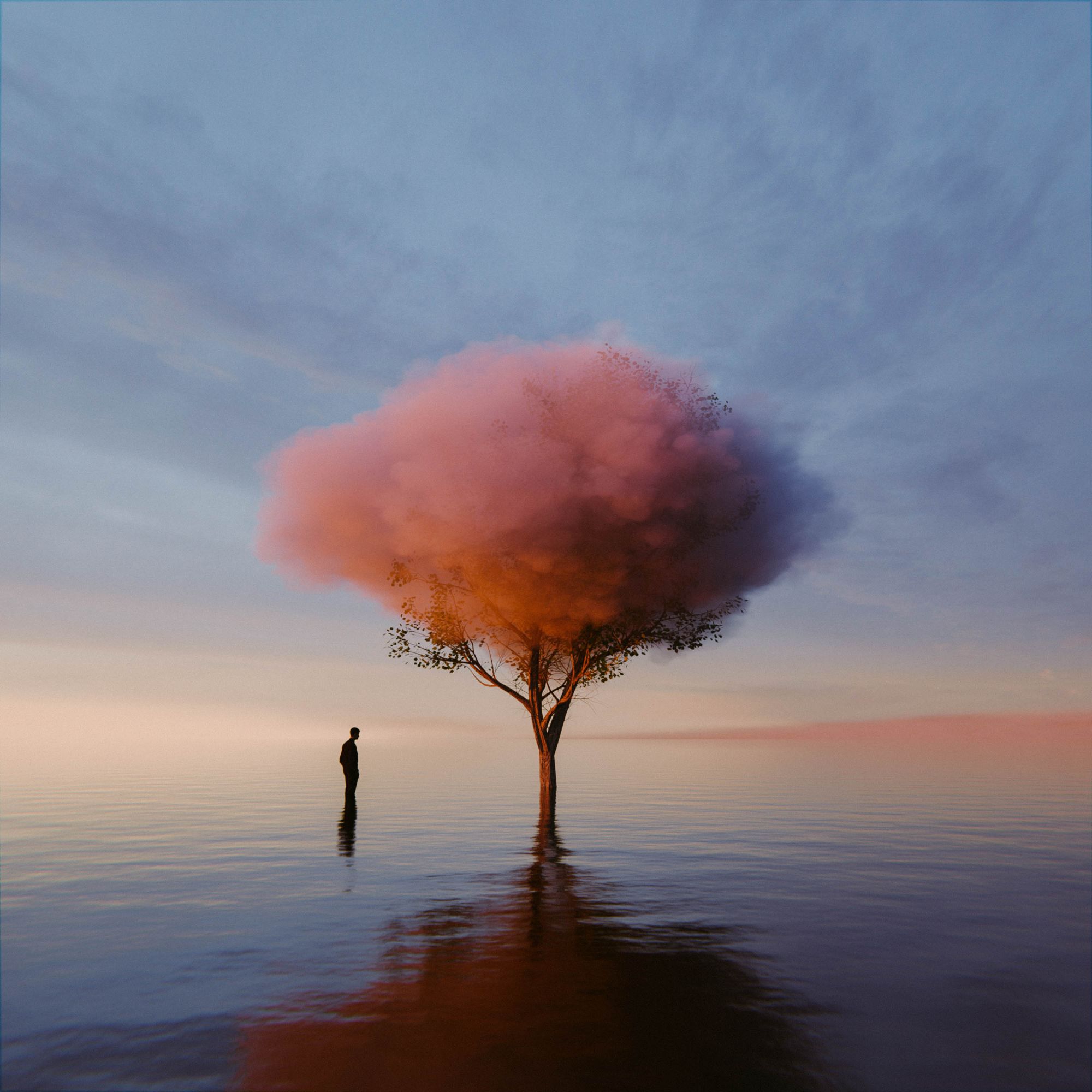 Cloud-crowned tree in water