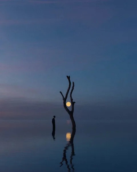 Baum und Mond im Wasser gespiegelt